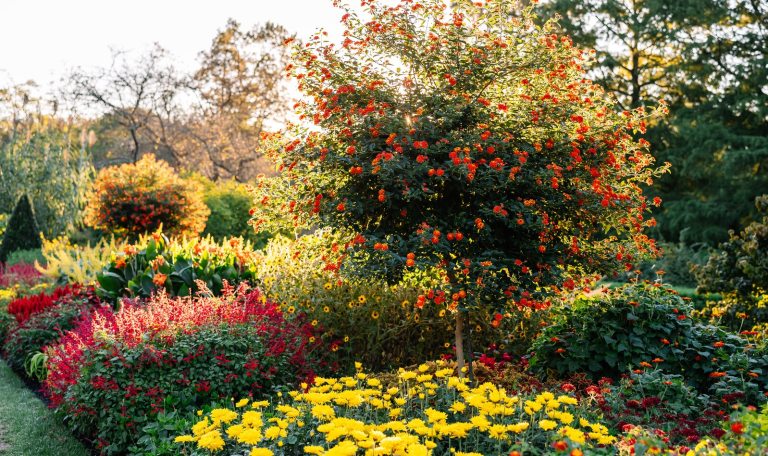 A vibrant, sunlit garden scene featuring a large, tiered flower bed with a variety of colorful plants. 
