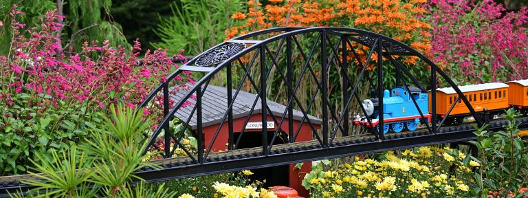 Thomas the Tank Engine crosses an iron bridge in a garden filled with colorful fall flowers.