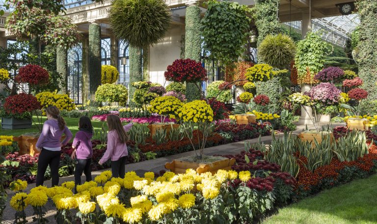 Three children dressed in pink and black take in the sights of an indoor garden filled with mums of a wide variety of forms and colors.