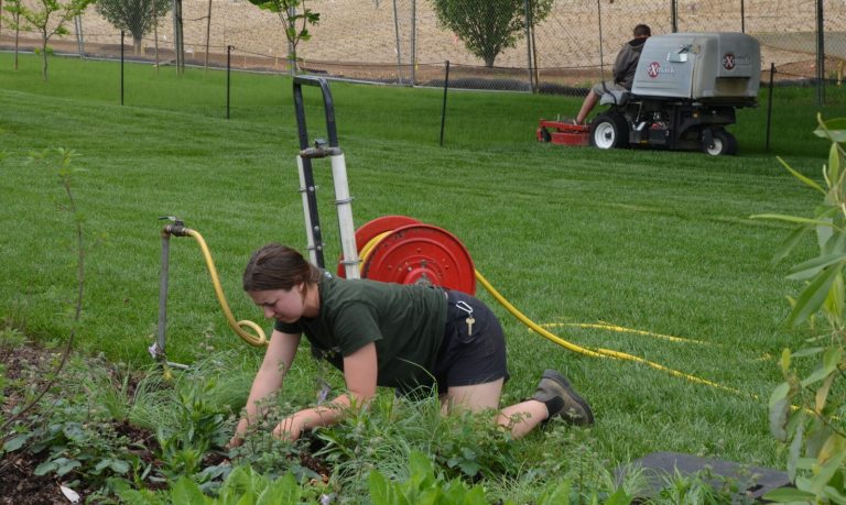 Gardener kneeling and weeding a flower bed next to a lush green lawn, with a hose reel and another worker operating machinery in the background.