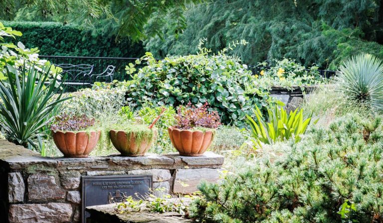A close-up of a stone garden wall with three terracotta pumpkin-shaped planters sitting on the top ledge. A small, dark plaque is mounted on the wall below the planters. The background features various textures of green foliage, including ivy, shrubs, and ornamental grasses.