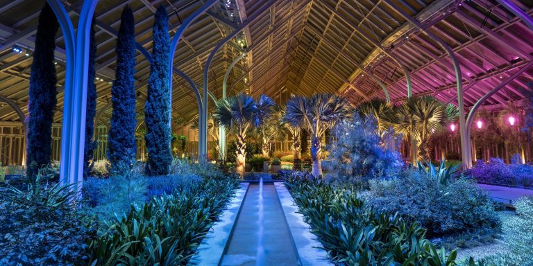 Indoor conservatory with tropical plants and soaring arches, lit with blue, gold, fuchsia.