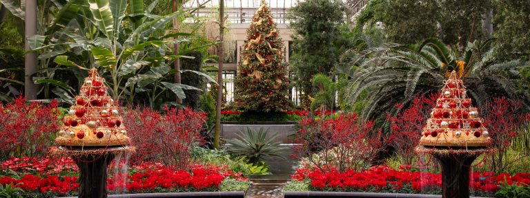 A large Christmas tree in center background is framed by 2 decorated fountain cones in foreground, and flowers and foliage in red and green throughout.