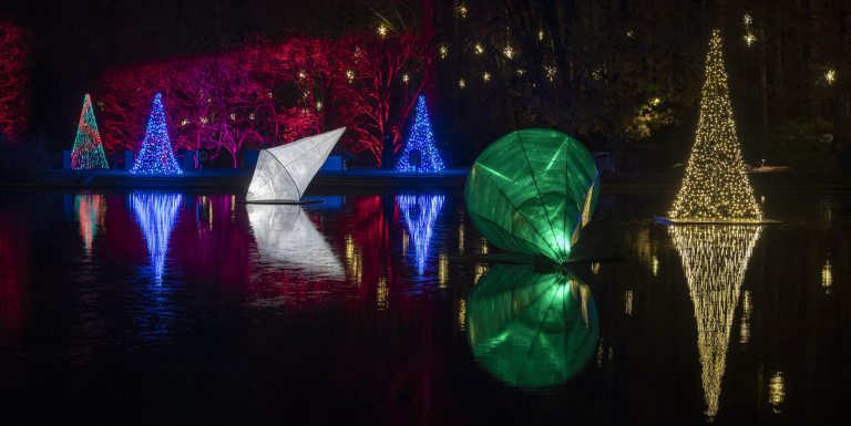 Large geometrical ornaments float and reflect on a lake at night, amid trees made of strands of light.