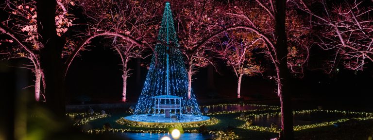 A cone tree of strings of blue lights is reflected in a pool, amid uplit deciduous trees.
