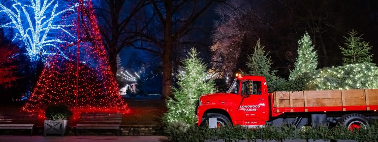 A bright red pickup truck lettered with the words "Longwood Gardens" contains a lit Christmas tree lying in its bed, among many other lit trees in the background.