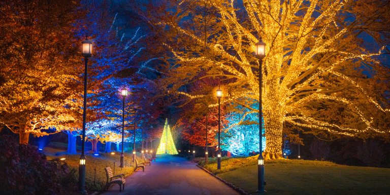 A broad path lined with garden benches and lit trees ends with a lit Christmas tree in the distance.