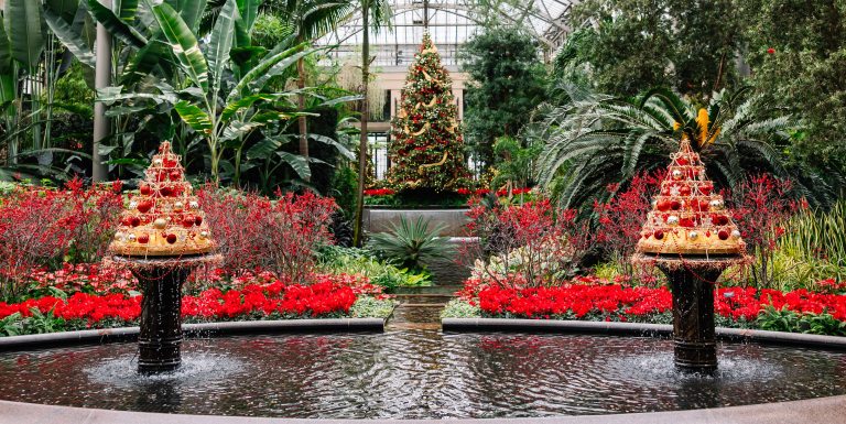 Two Christmas tree forms on pedestals in an oval pool frame a large Christmas tree in the background, decorated in red and gold tones.