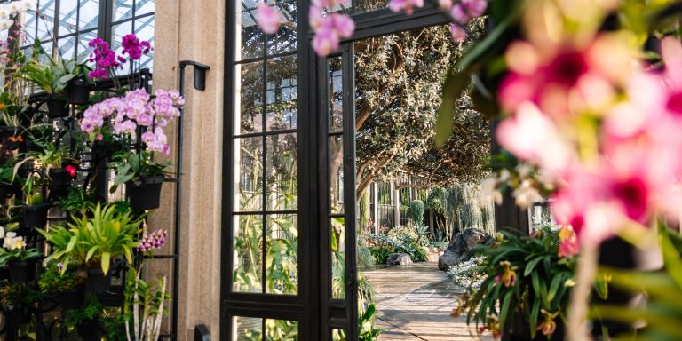 Pots of colorful orchids hang on a metal framework against glass walls, framing a doorway opening on to a garden of silver-toned succulents.
