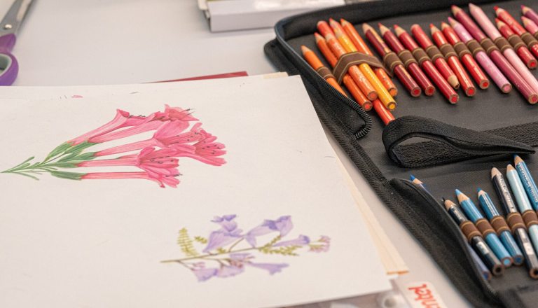 A black zippered pencil case is open next to the drawings, neatly organizing a large collection of colored pencils in various shades of orange, red, pink, and blue.