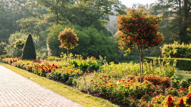 Diagonal view down an outdoor brick garden walkway, bordered by colorful flower beds, two flowering trees, and a cone-shaped topiary at the far end.