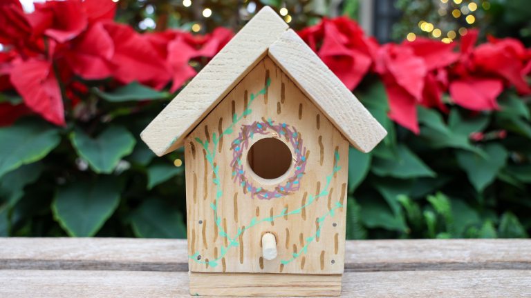Birdhouse from Home Tweet Home Class