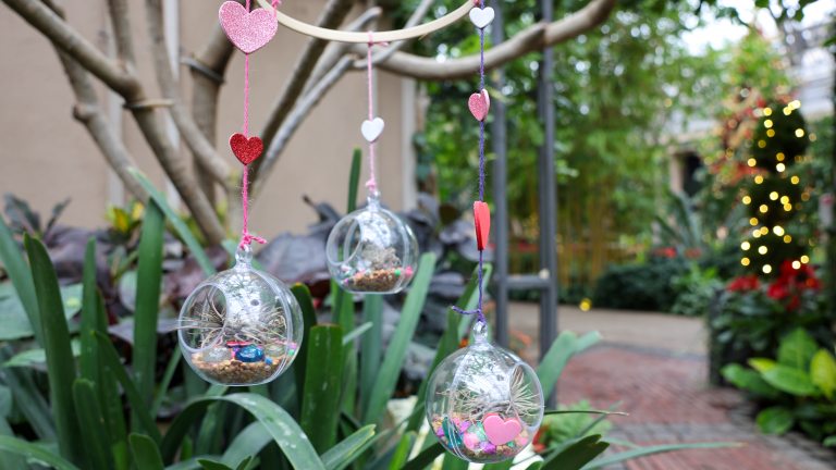 Mobile made during the Bubble Botanics Class