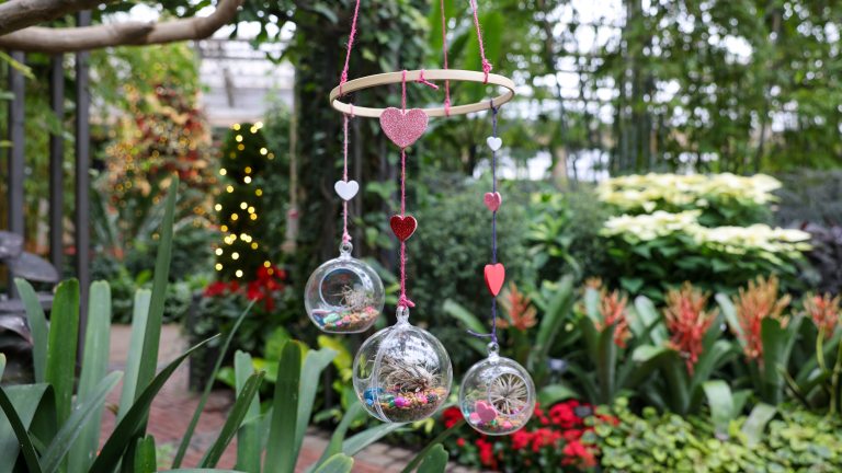 Mobile made during the Bubble Botanics Class