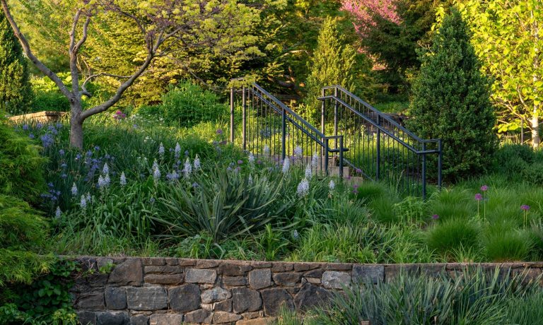 A sun-drenched, tiered garden featuring a stone retaining wall in the foreground and a set of metal handrails leading up a stone staircase. The landscape is lush with a variety of green plants, ornamental grasses, and tall, spiked white flowers. Mature trees with vibrant green and yellow-green spring foliage fill the background, creating a dense and peaceful natural setting.