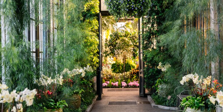 White orchids fill large containers along an indoor garden walk with overhanging floral baskets and cascading acacia to a view through open doors of a multi-colored and textured conservatory space beyond.