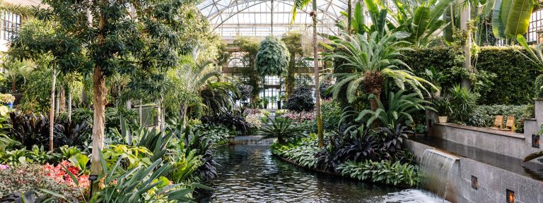 Wide and soaring indoor view of glass house with arched glass roof, arched windows, lush greenery, floral accents, and a series of waterfalls flowing into a pathway of water.