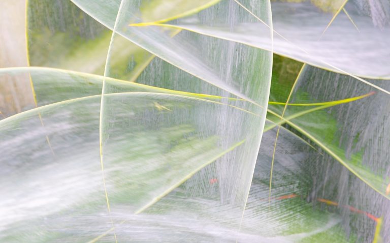 An abstract photo of palm leaves and plant material. 