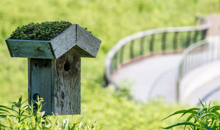 A bluebird nesting box, with a green roof, in a meadow.
