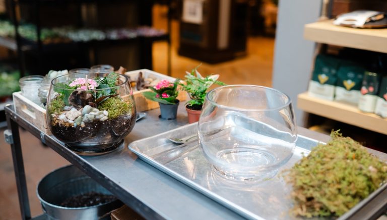 A steel table with a glass bowl, dried moss, and plant supplies on top.