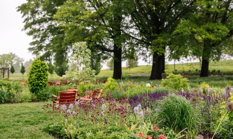 A serene landscape with tall oak trees, orange chairs, and lush garden beds. 