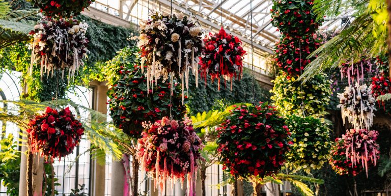 Closeup of hanging floral baskets in red, pink, and white.