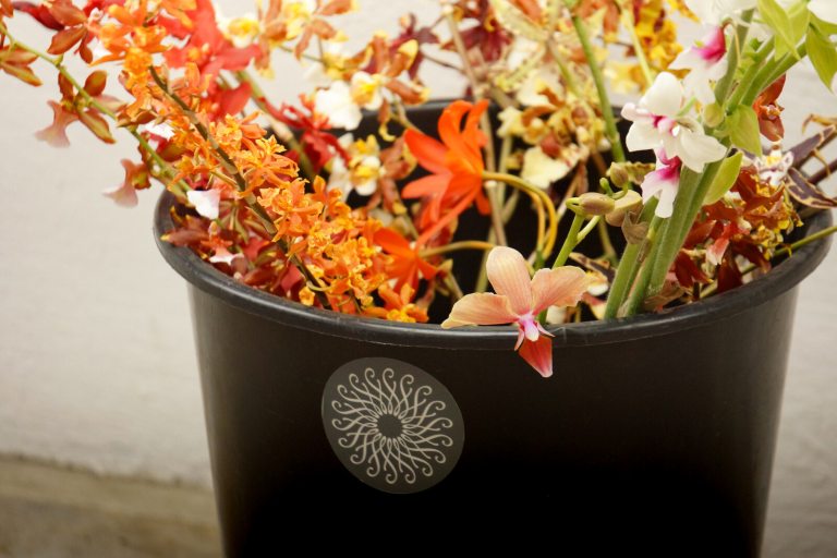 A bucket with the Longwood rosette, containing a variety of orchids.