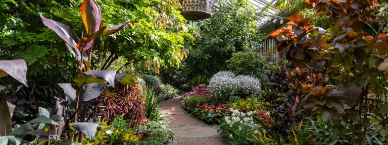 A brick path winds through an indoor garden bordered by plants in a great variety of heights, textures, and colors.