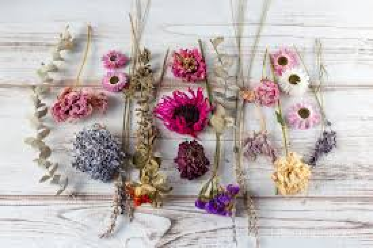 An arrangement of flower heads and stems against a white washed wood table.