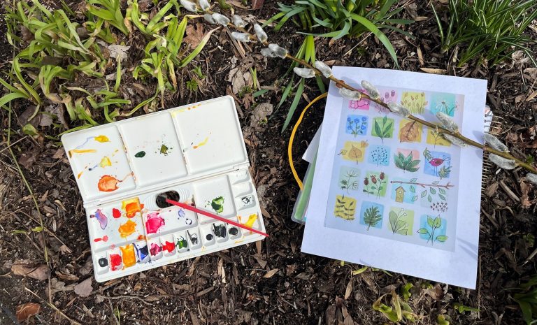 A nature journal and paint palette laying open on a forest floor.
