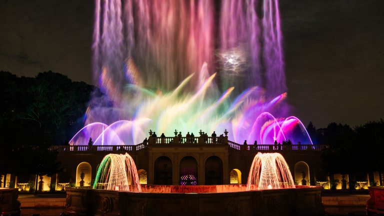 Two basketweave fountains in the foreground frame silhouettes of guests watching pastel-colored fountains fill the night sky in the background/