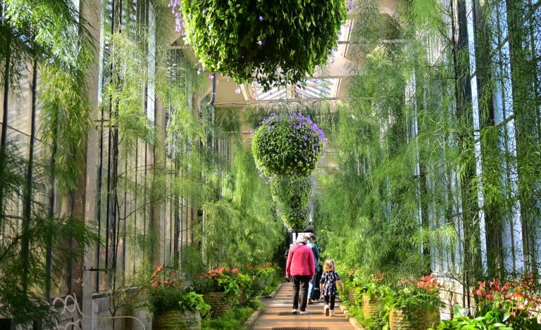 Three people walking along a path, surrounded by acacia, at Longwood Gardens.
