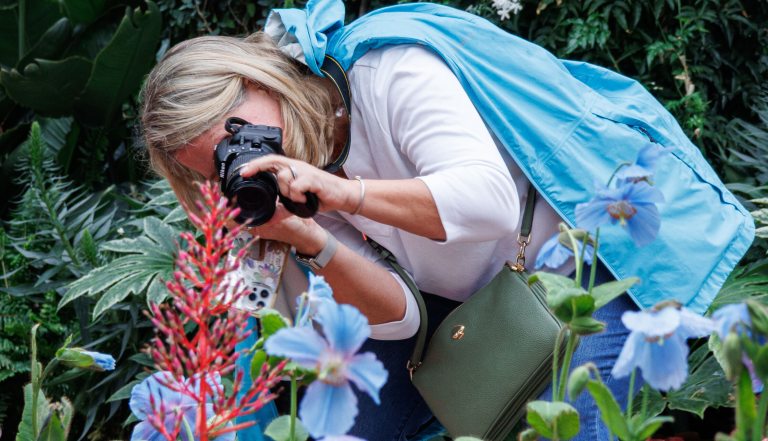 Woman taking a picture with camera of blue poppy display