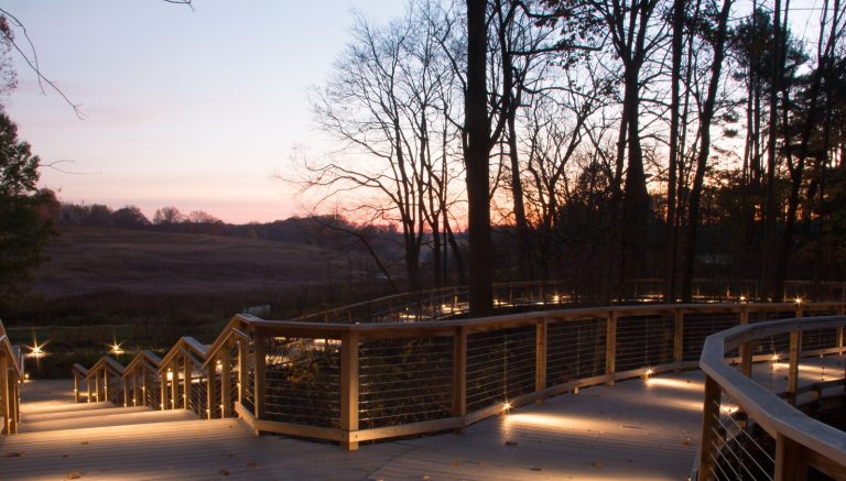The Meadow Garden overlook, at dusk, featuring a boardwalk overlooking the vista of the garden.
