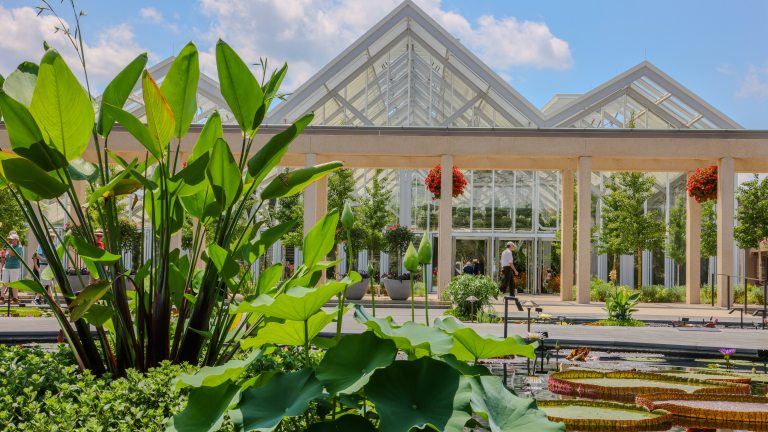 Waterlily pools in foreground with conservatory structure in background.