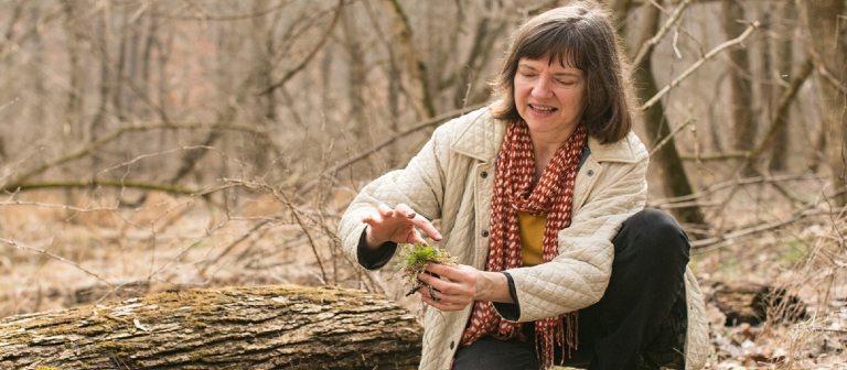 A person kneeling down in an early spring forest, foraging on the ground.