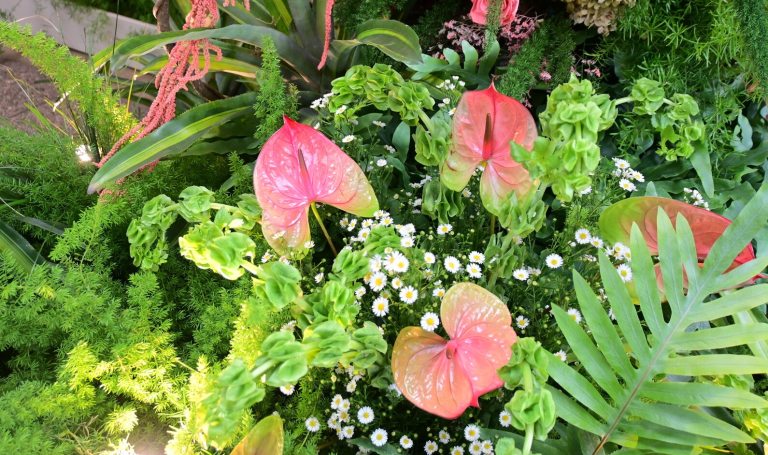 A variety of tropical plants growing in an indoor conservatory.