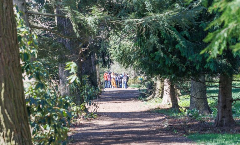 A mulched pathway, with large trees lining each side. At the end is a group of people. 