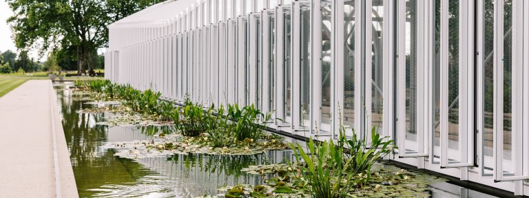 A narrow rectangular pond with aquatic plants borders a glass house.