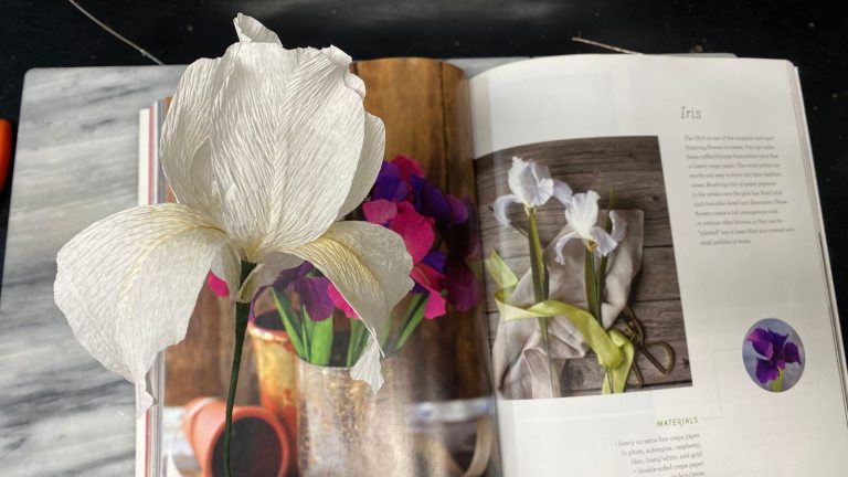 A white paper iris held in front of an open book.