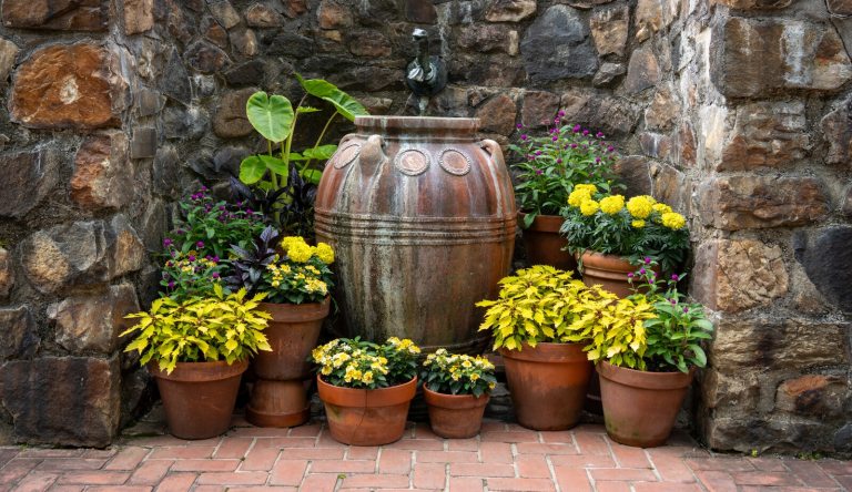 A range of varieties of container planters, set agains a dark stone wall. 