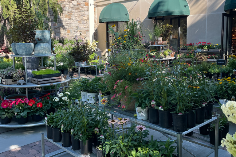 Garden Shop Patio