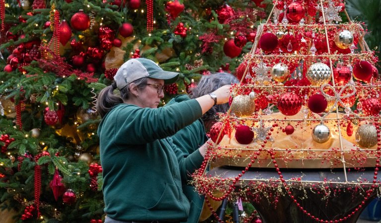 A person decorating a red and gold christmas tree with ornaments.