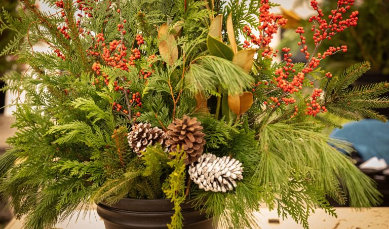A floral arrangement featuring evergreen branches, pinecones, and red berry branches.