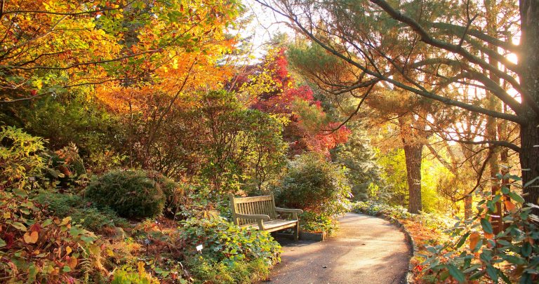 An autumn landscape, with changing leaves, and a paved path through a forsest type landscape.