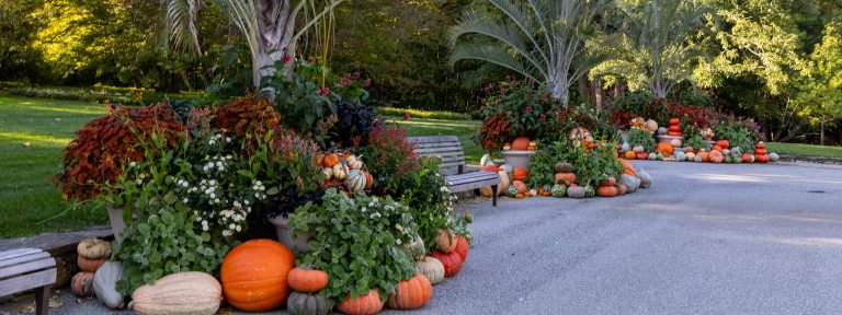 Colorful harvest displays line a broad walkway.