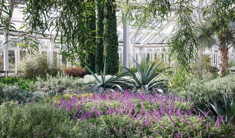 The interior gardens of the West Conservatory at Longwood, featuring a muted palette of green and white.