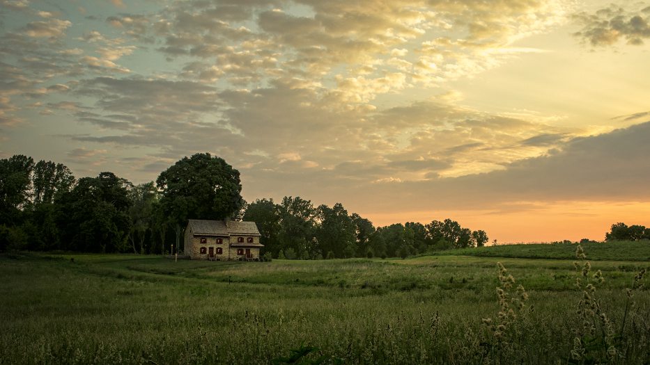 a house in a meadow