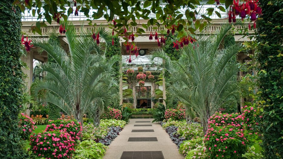 a path in a conservatory filled with plants