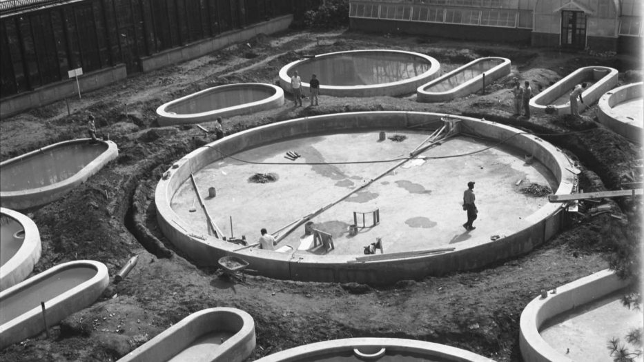 b&w image of large and small pools in a garden under construction